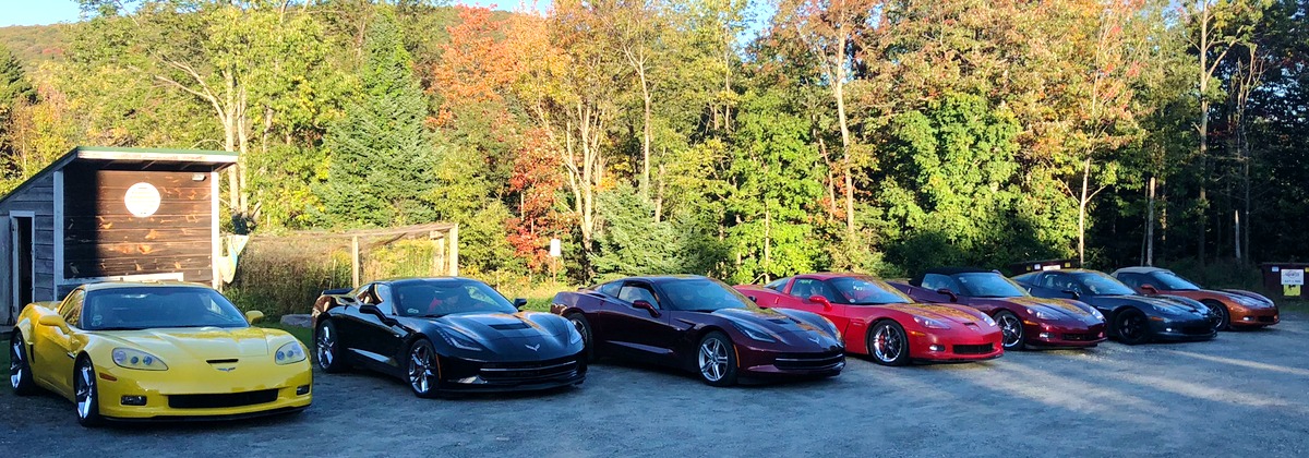 Corvettes at Gray Ghost Inn