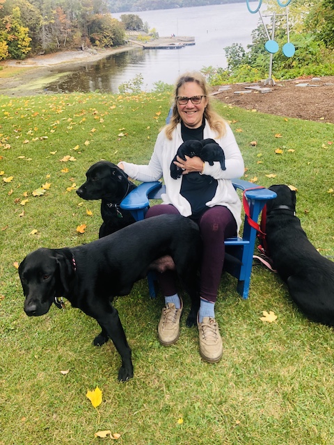 Carina with Black Labrador dogs