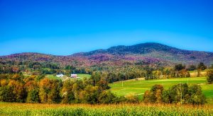 autumn in VT